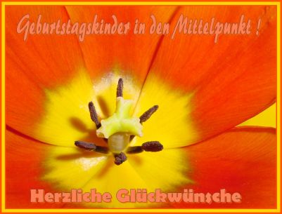 Geburtstagskarte 17