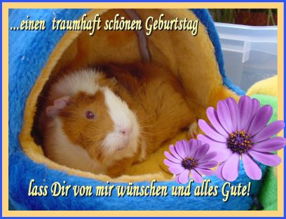 Schweinchenkarte 18