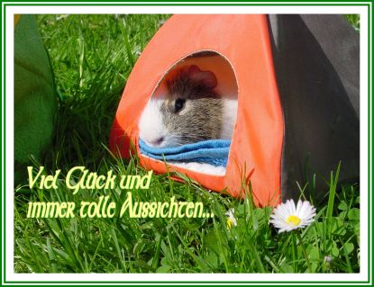 Schweinchenkarte 20