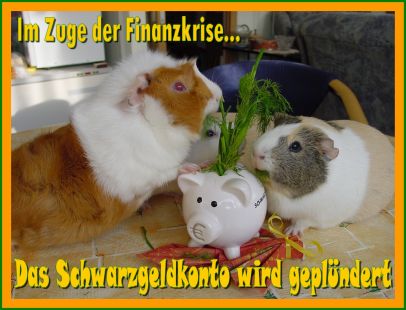 Schweinchenkarte 1