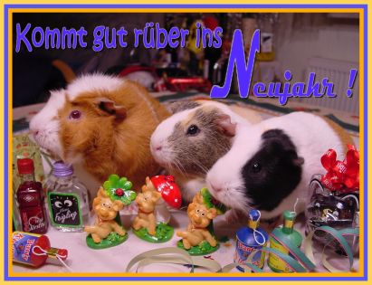 Neujahrskarte 3