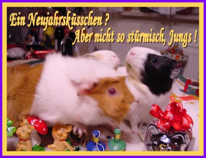 Neujahrskarte 5