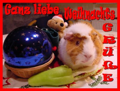 Weihnachtskarte 6