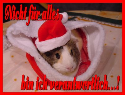 Weihnachtskarte 7