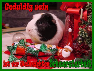 Weihnachtskarte 8