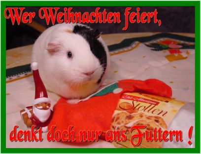 Weihnachtskarte 18