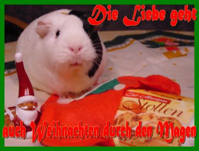 Weihnachtskarte 19