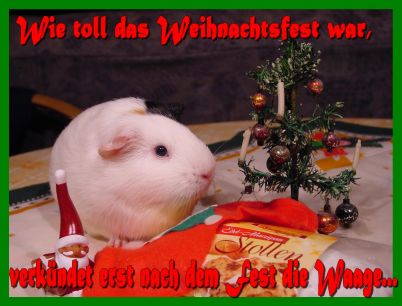 Weihnachtskarte 20