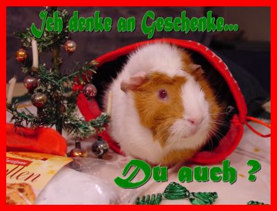 Weihnachtskarte 21