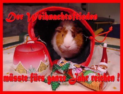 Weihnachtskarte 22