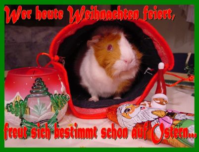 Weihnachtskarte 23