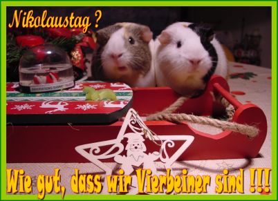 Weihnachtskarte 24