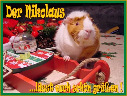 Weihnachtskarte 25