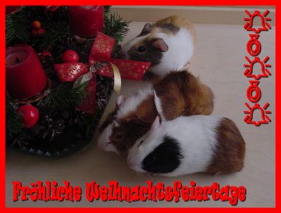 Weihnachtskarte 26