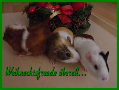 Weihnachtskarte 27