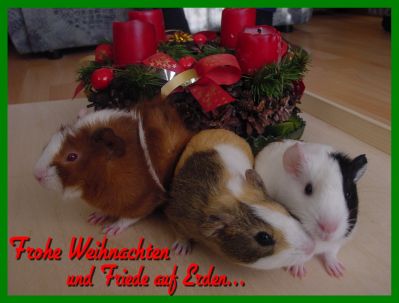 Weihnachtskarte 28
