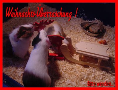 Weihnachtskarte 32
