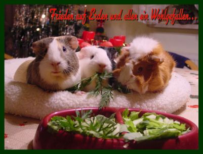 Weihnachtskarte 35