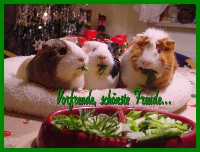 Weihnachtskarte 36