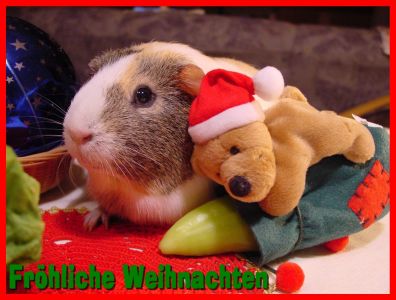 Weihnachtskarte 38
