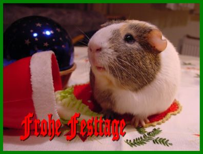 Weihnachtskarte 40