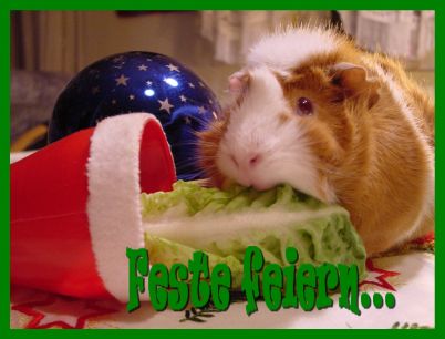 Weihnachtskarte 41