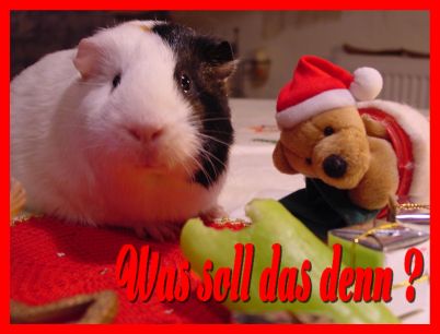 Weihnachtskarte 43