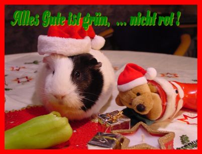 Weihnachtskarte 44