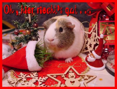 Weihnachtskarte 46