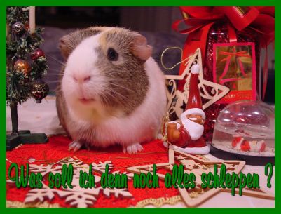 Weihnachtskarte 47