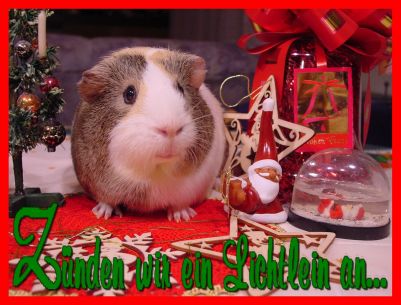 Weihnachtskarte 48