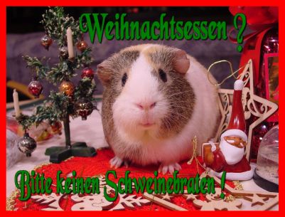 Weihnachtskarte 49