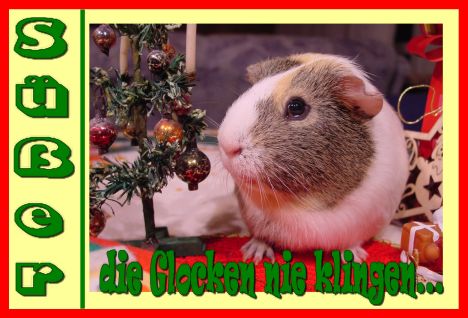 Weihnachtskarte 51