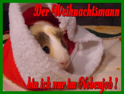 Weihnachtskarte 57