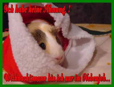 Weihnachtskarte 58
